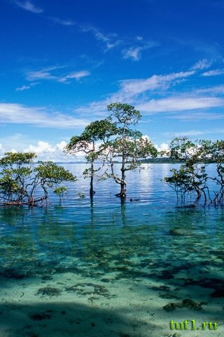 Андаманские острова