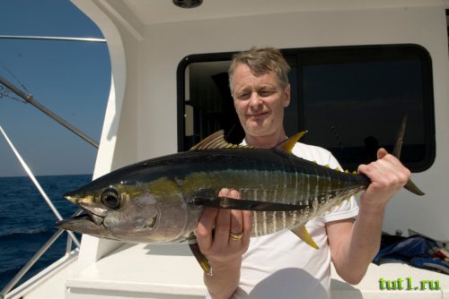 Рыбалка на Андаманских островах