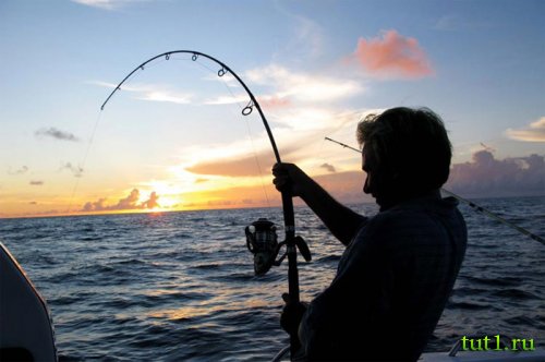 Амирантские острова