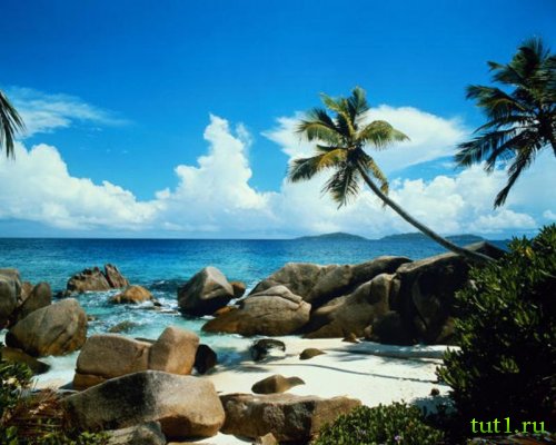 Атолл Альдабра