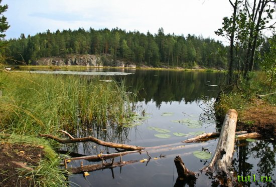 Национальный парк-заповедник Нууксио в Эспоо, Финляндия