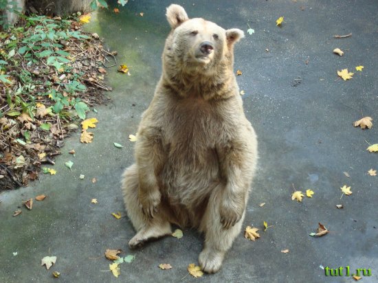 Остравский зоопарк