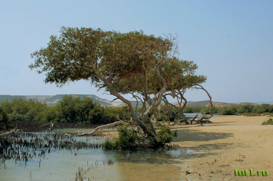 Парк Набк - Шарм-эль-Шейх