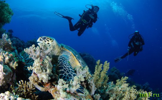 Голубая дыра в бухте Дахаба, Египет