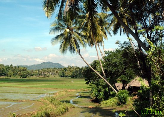 Город Курунегала — Шри-Ланка