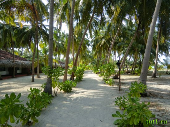 Лаккадивские острова