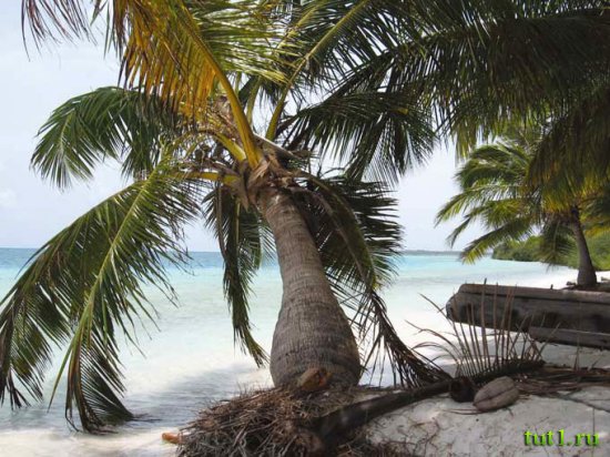 Лаккадивские острова