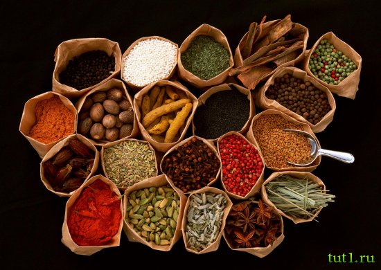 Гоа - плантация специй