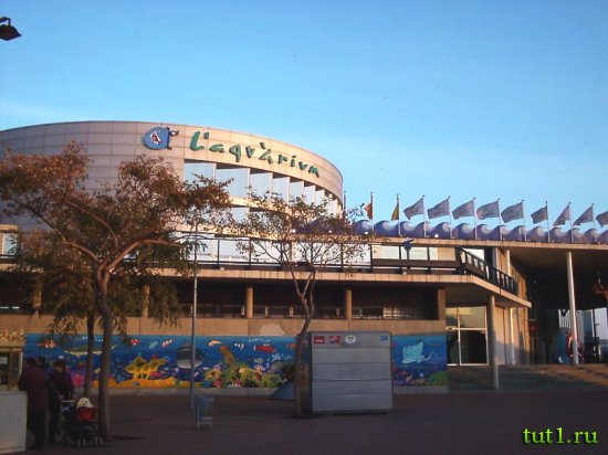 Аквариум Басрелоны