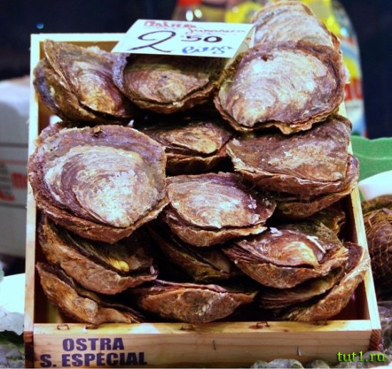 Барселона - рынок Бокерия