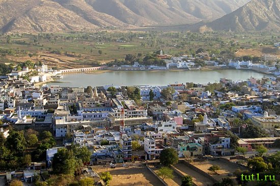 Индия - Пушкар