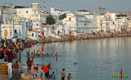 Индия - Пушкар