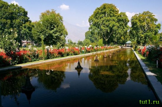 Сринагар - сады