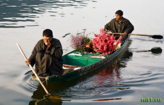 Сринагар - плавучий рынок