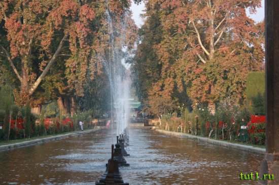 Сринагар - сад Шалимар