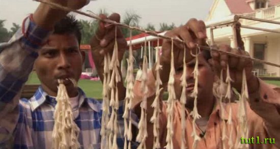 Традиционная индийская свадьба