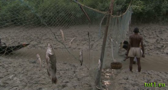 Племена Сундарбана - Индия