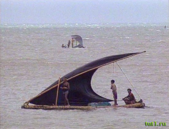 Керала - парус зуб акулы