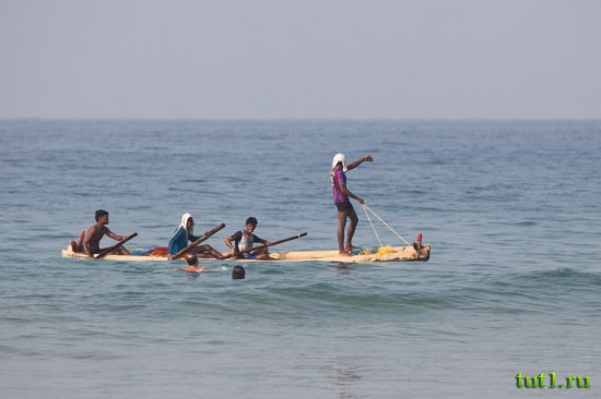 Штат Керала - дары моря