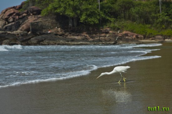Штат Керала - Индия