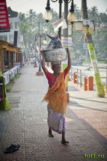 Штат Керала - базары