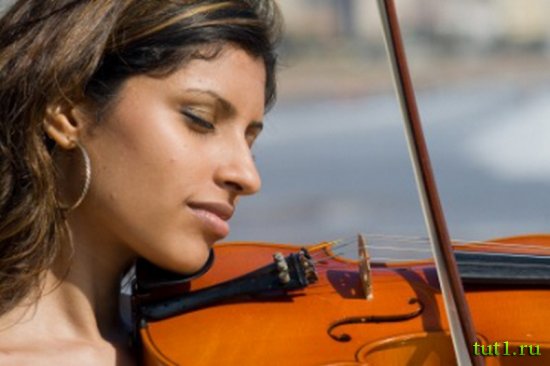 Индийская музыка - скрипка