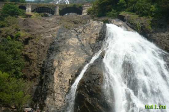 Заповедник Бхагван Махавир