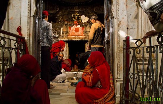 Карни Мата храм 20 000 крыс - Индия