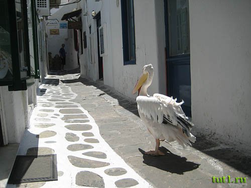 Греция - остров Миконос