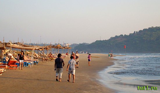 Морджим, курорт Гоа ?— Индия