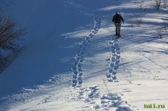 Горнолыжный курорт La Molina - Испания