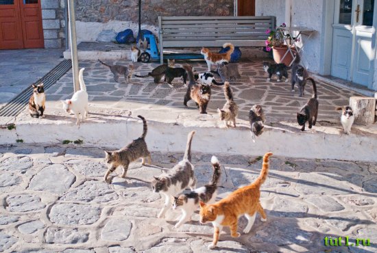 Греческий остров Идра