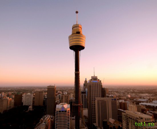 Сиднейская башня