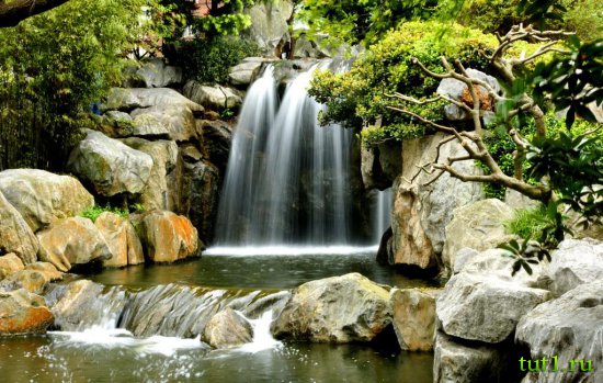 Сидней - Китайский Сад Дружбы