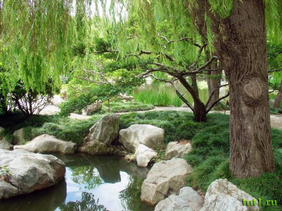 Сидней - Китайский Сад Дружбы