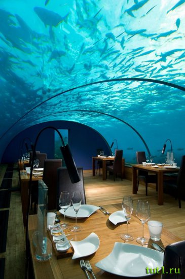 Стеклянный подводный ресторан "Ithaa" - Мальдивы