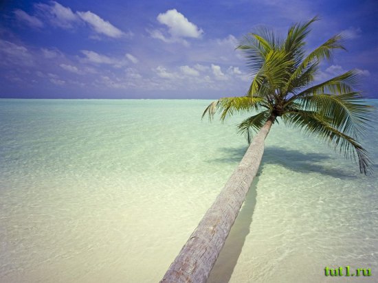 Мальдивские острова