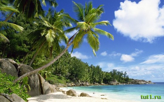 Мальдивские острова