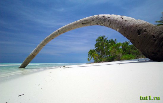 Мальдивские острова