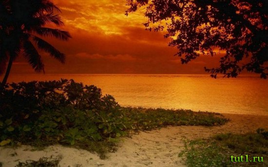 Мальдивские острова