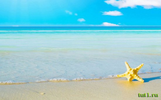 Мальдивские острова