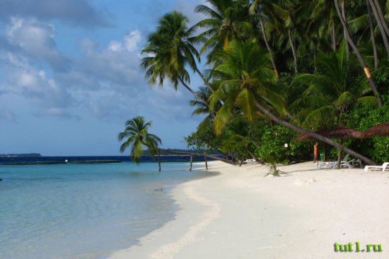 Мальдивские острова