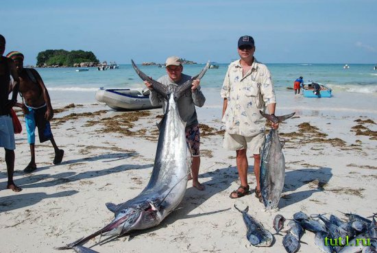 Сейшельские острова - рыбалка