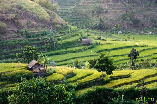 Остров Бали