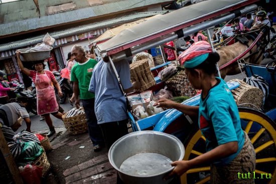 Остров Бали - Денпасар
