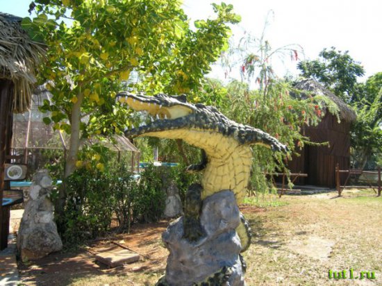 Остров Гуама - крокодилы