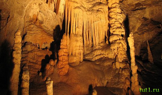 Словения - карстовые пещеры Постойнская Яма