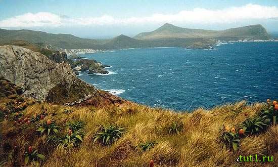 Остров Кэмпбелл — Новая Зеландия