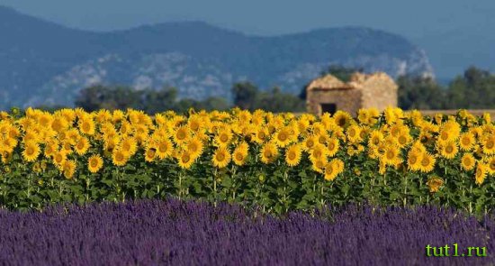 Прованс - Франция