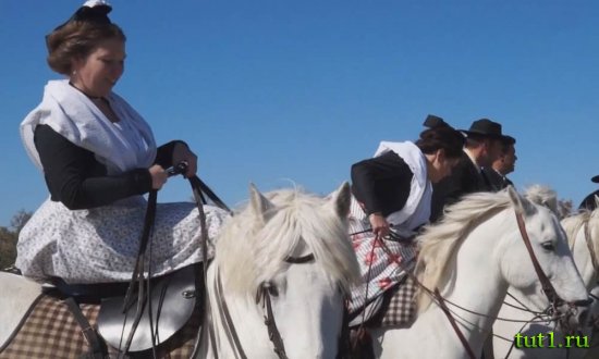 Женщины Камарга